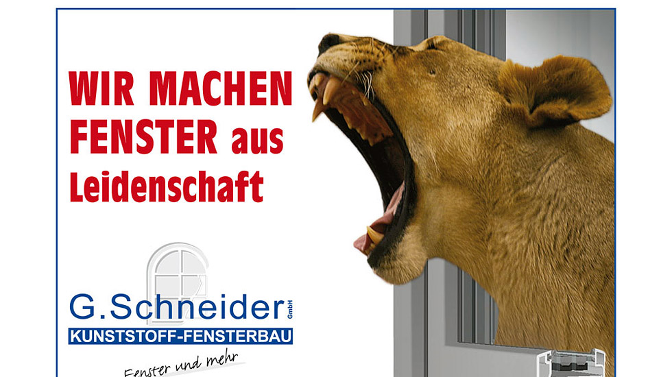 schneider_2.jpg